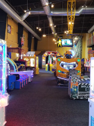 All Star Sports