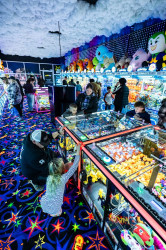 AZ Amusement Pros