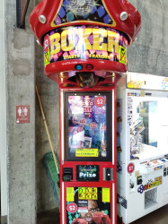 Boxer