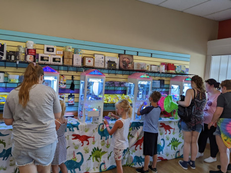 Crane N Able's Mini Claw Mania