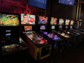 Electric Bear Den - Pinball Arcade