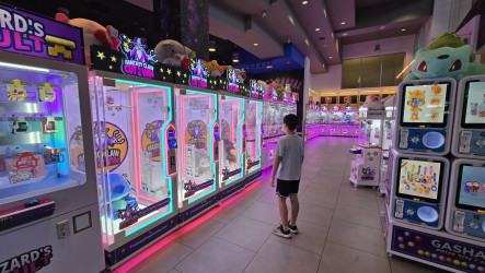 Fantasy Claw Arcade