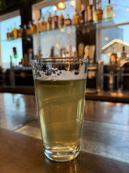 Hayden Taphouse