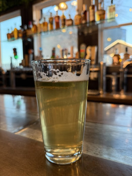 Hayden Taphouse