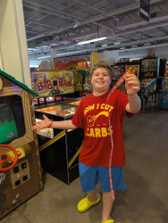 The Arcade Project