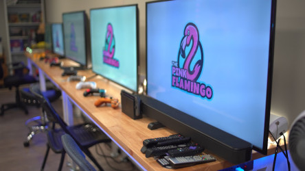 The Pink Flamingo