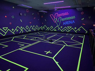 Virtual Ventures